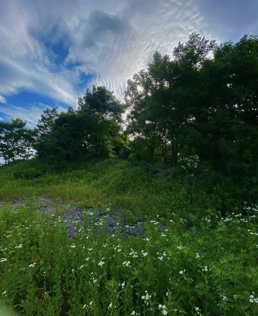 B2E804B9 A12E 43CB BC63 675DF558B2CE