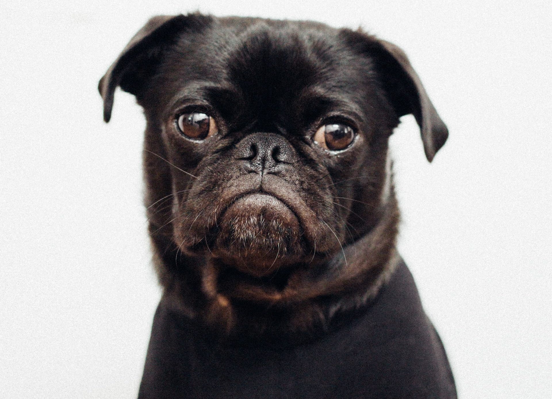 Toshi lySzv cqxH8 unsplash e1602420869348