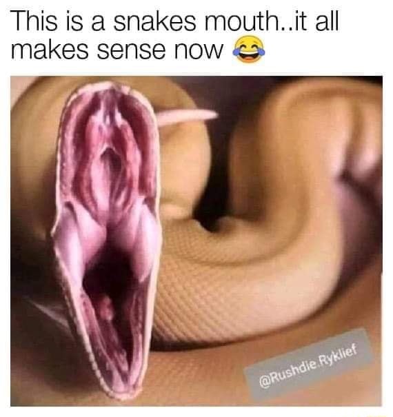 289B3F68 8F8D 4A16 B36F D50EF0CE4898