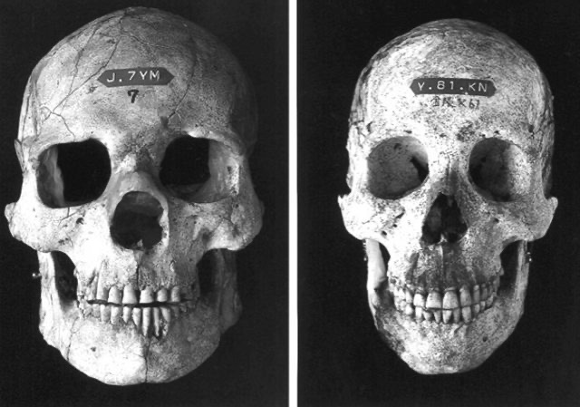 B61AA436 050B 483E 9EEF 42BAF7A69559