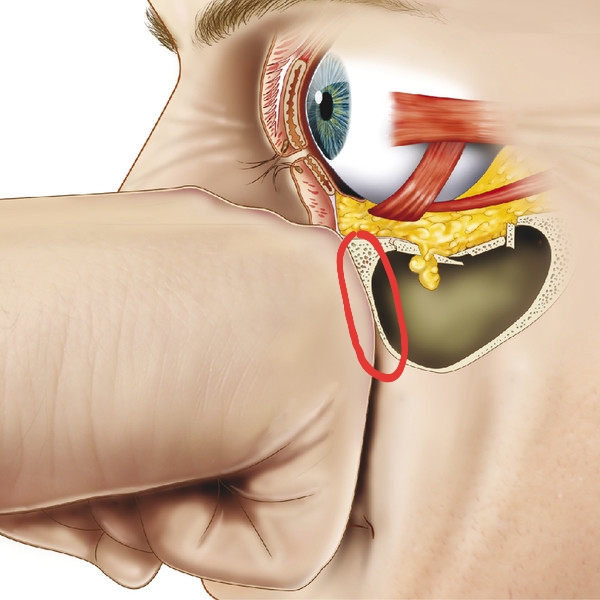 39F2D0A9 41AB 4C42 B065 AF255C542412