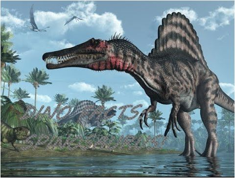 2934102 1654960508184