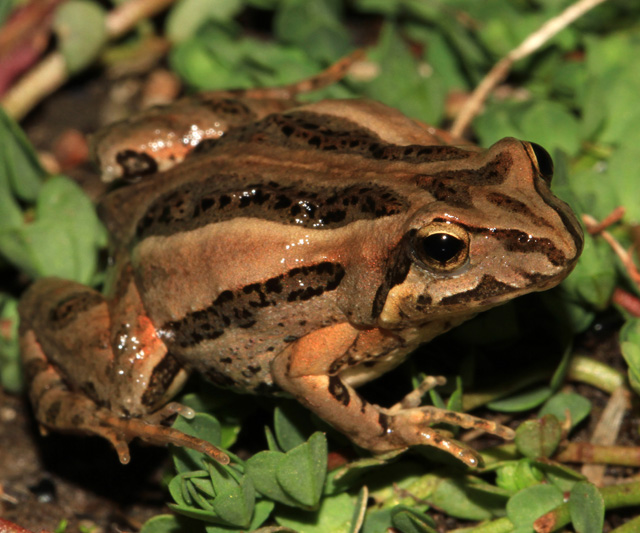 3BEBF30A B607 4E9E 8060 F15CC1CF821D