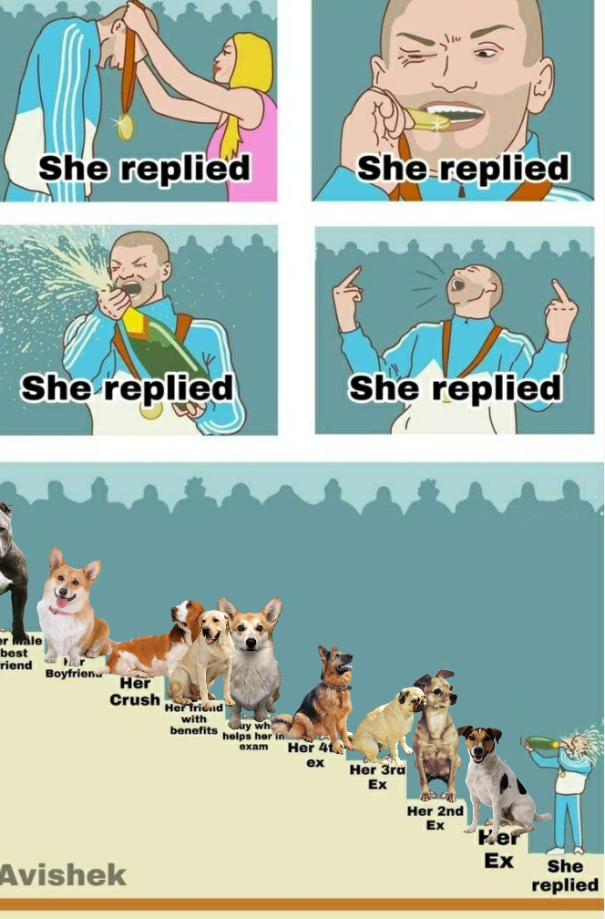 58DC9E78 F136 4743 88EF 51B4C4082050