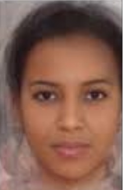 Average north african
