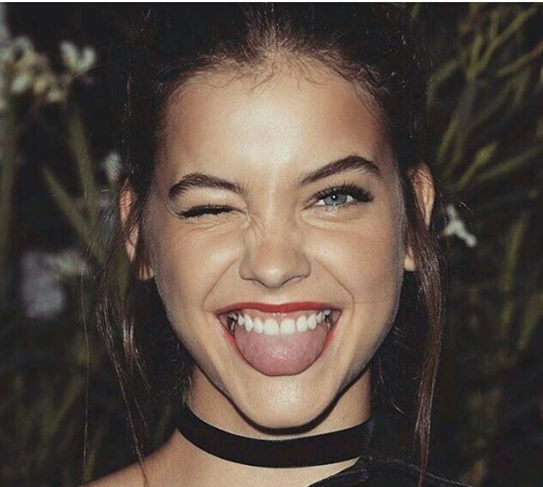 Palvin2 Palvin2