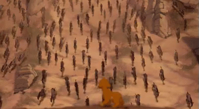 Lion king stampede
