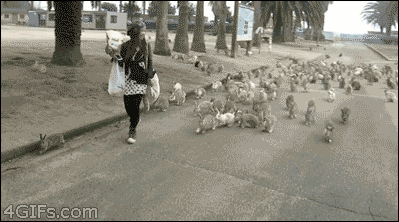 Tumblr n16z55g8IF1qdlh1io1 400