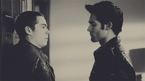 Derek hale sterek