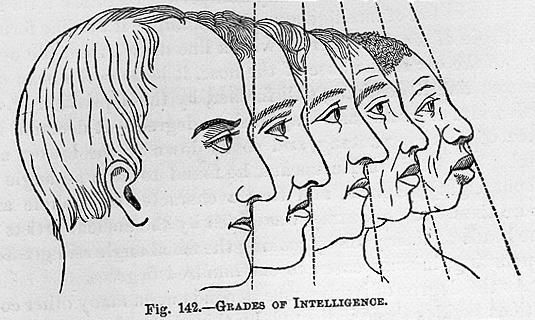 F2e63844294a8cd3d891c445ceb04a92  facial aesthetics prime directive