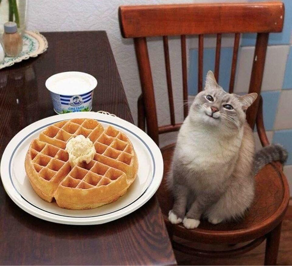 FXerFTqXwAAbnDt