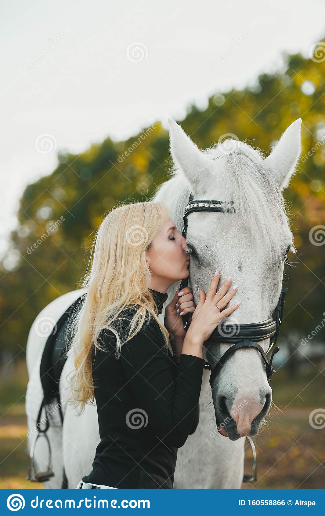 9186C8BF 466E 4984 B740 41EF236C7596