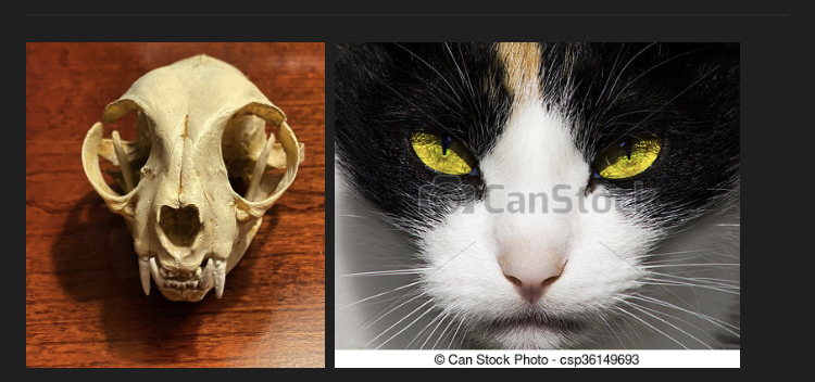 BBFF7D07 CEC7 4EF4 90F0 F21A4266825D