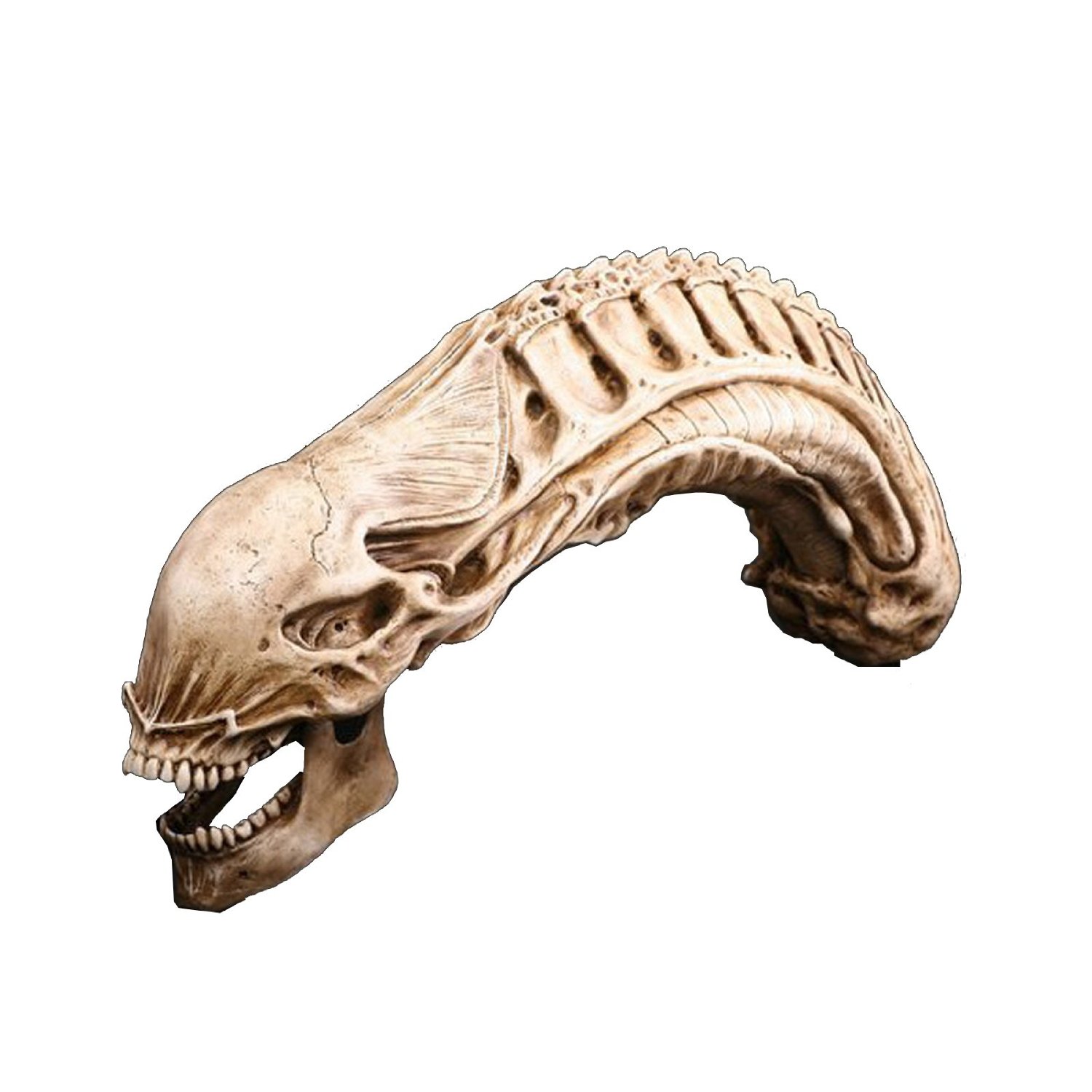 Large 50cm long resin alien xenomorph model skull 6052 p