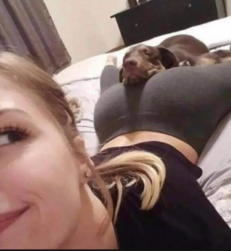 1658011387905