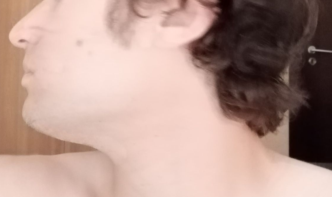 Zeb2 3