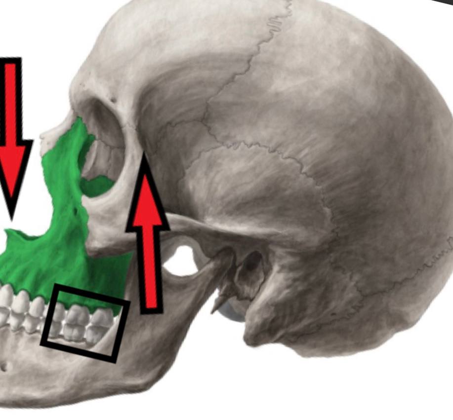 Photo 2022 07 19 18 53 33