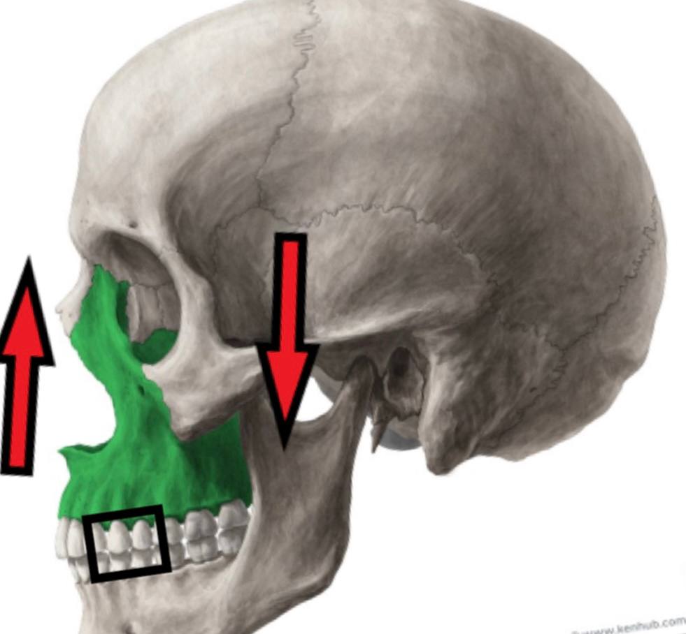 Photo 2022 07 19 18 53 31