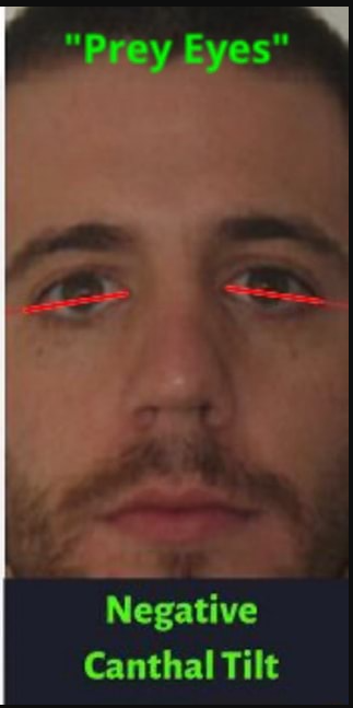 1658278483449