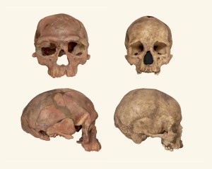 41586 2017 Article BFnature201722114 Figb HTML