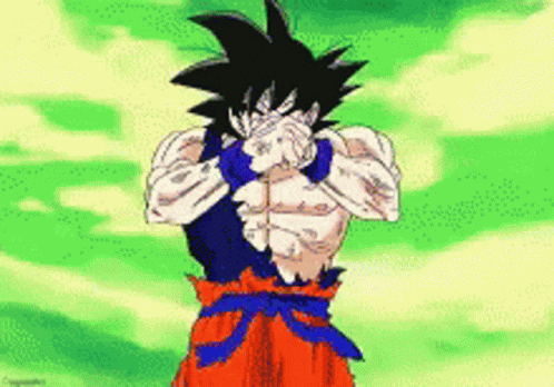 Dragon ball z goku