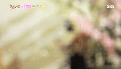 Tumblr ngfro0gS3t1qgten1o6 250
