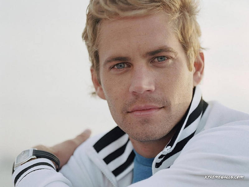 HD wallpaper paul walker cute pretty blue eyes male blonde hair actor