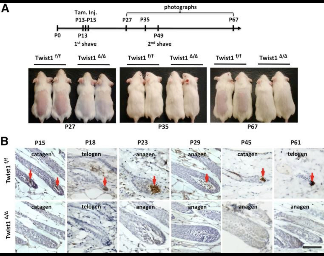 0C967239 0CCC 4AC5 A709 1EC12A2DA764