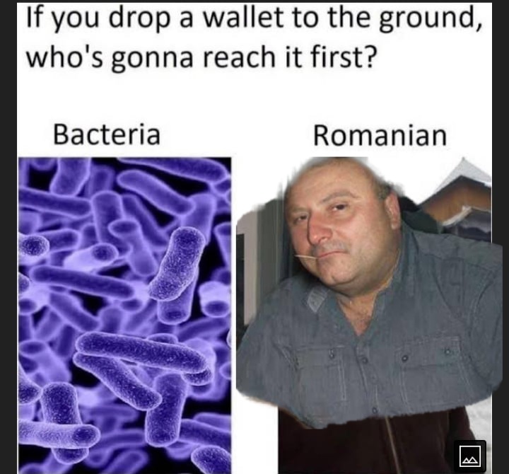 2993757 1646849873093