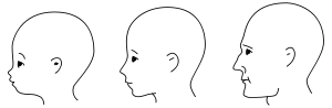 54D9D927 7FCB 4E0F 8EC4 83125D22DF8D