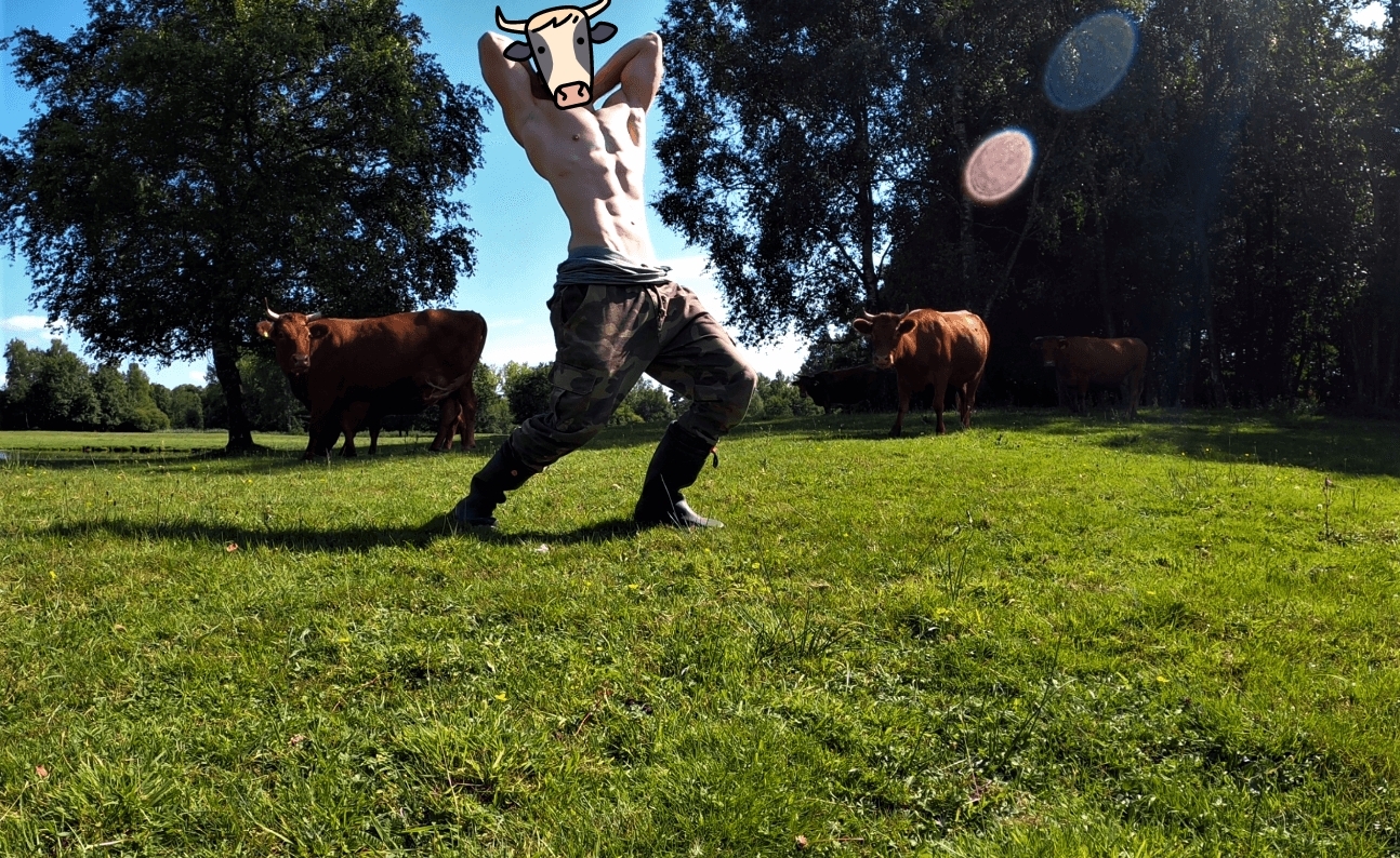 Cow2