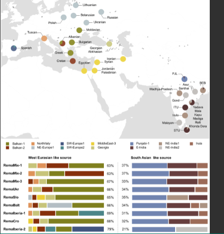 Romani genes