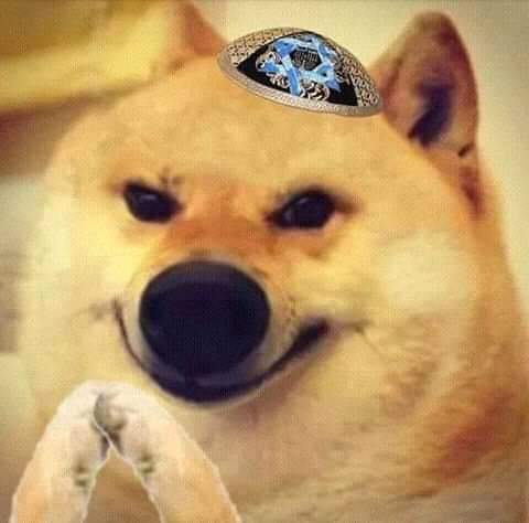 JewDoge