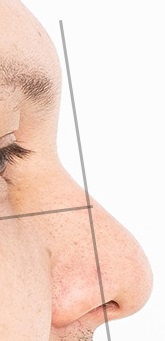 Nose unmorphed