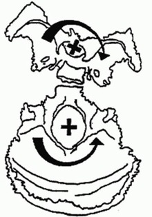 0C10A6E1 066F 4AA9 9474 1A5236E5BFD3