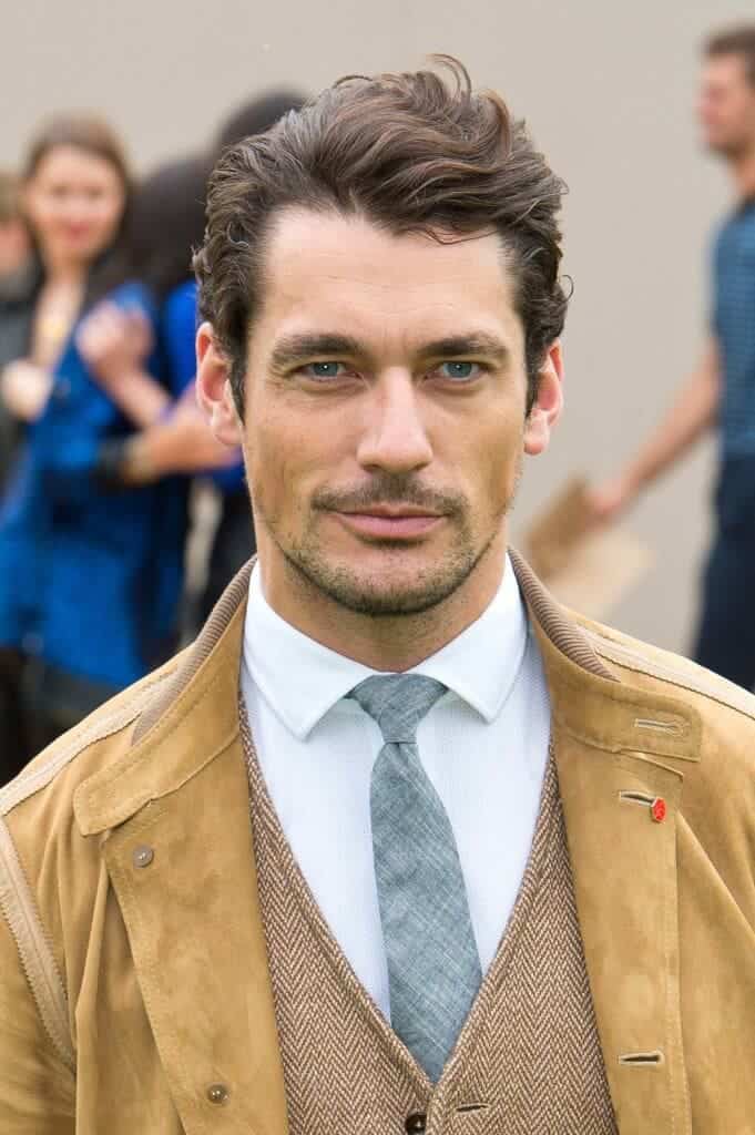 Quiff Celebrity 04 David Gandy