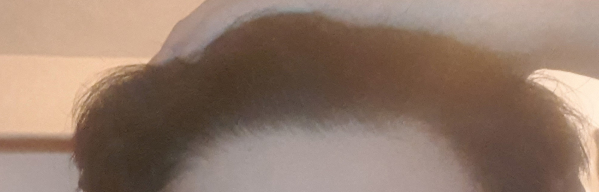 20220727 192439
