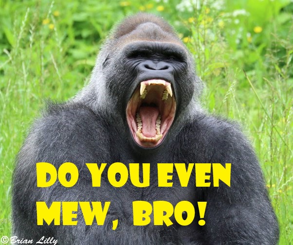 Main qimg 965b7f22a1b30c7417dc9626c8359d35 lq