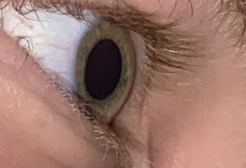 6036C6F3 A057 444D AF9B 6F309774FEF2