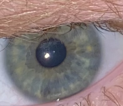 96761A34 F8E1 46DF 96C8 689756F7DFE5