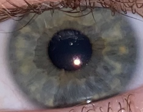 5156E9A5 A550 45A9 B4C2 B7E1118881EE