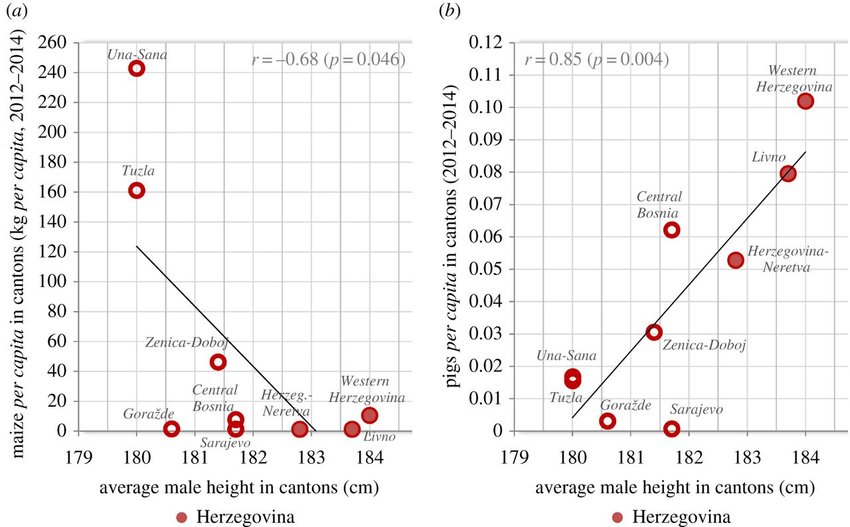 A Relationship between male height and maize production kg per capita year in nine