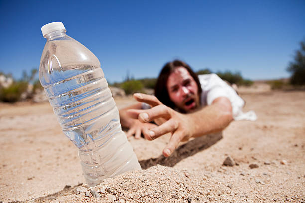 Istockphoto 173256386 612x612