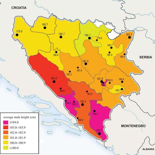 Regional averages of male height in Bosnia and Herzegovina based on the self reported Q640