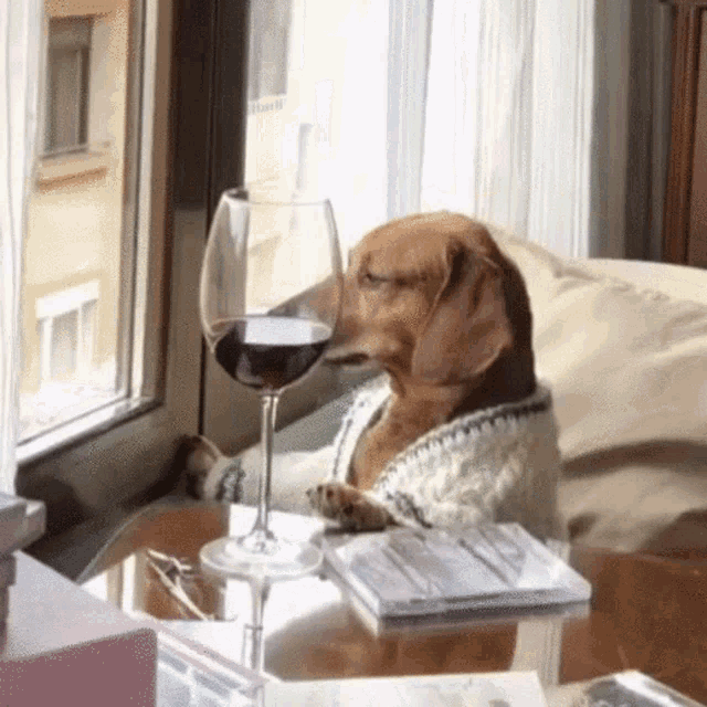 Dog dog wine