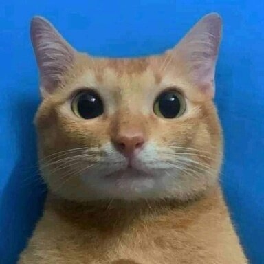 21053