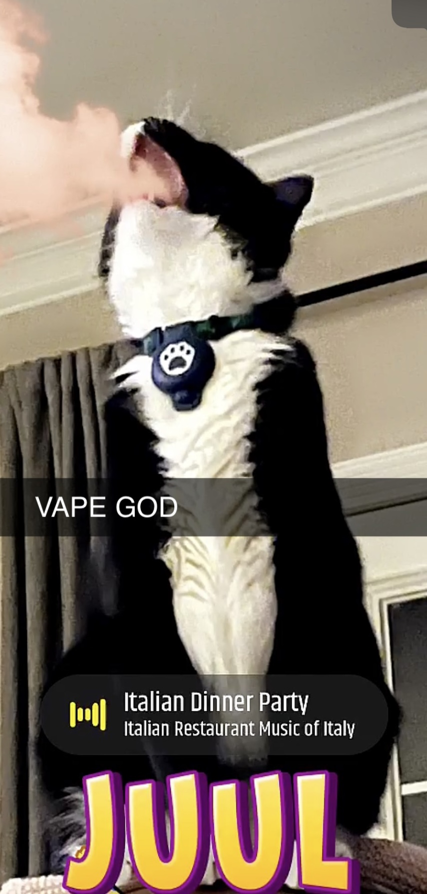 5833E9EE DA02 45CA 89F2 C2B9CC35CE5A