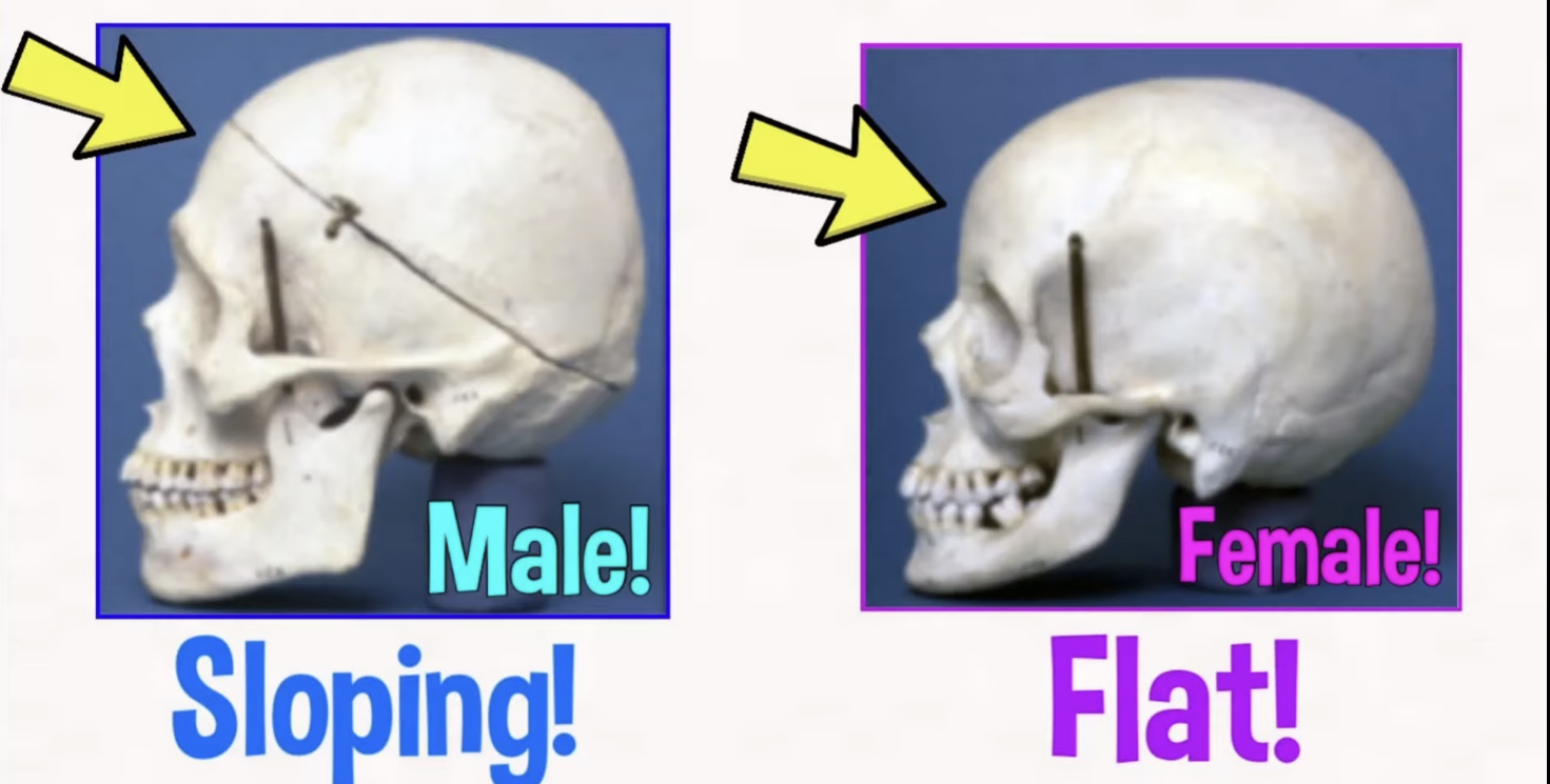 9E0292E7 832D 485E 88C1 CDFBBDDAB057