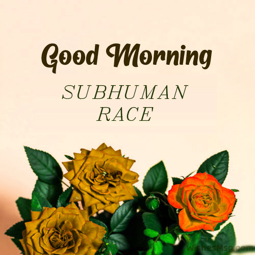 Good morning message for them 1
