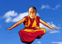 Flying fly